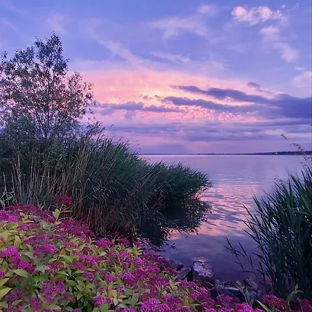 Madagascar Keszthely